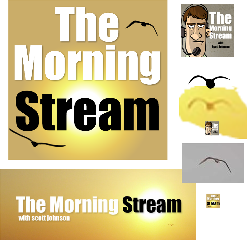 Morning Stream - Catheter Related Bloodstream Infection Ppt (800x800), Png Download