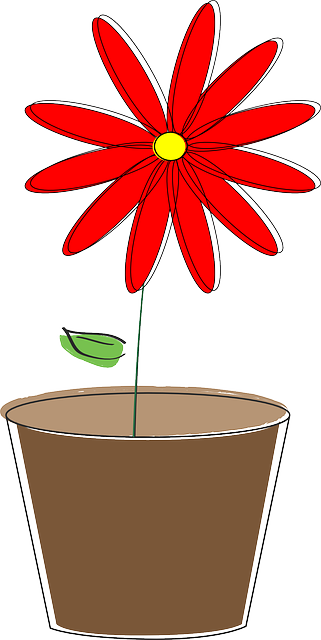 Potted Plant, Flower, Daisy, Spring, Bloom, Blossom - Prix Versailles 2016 (321x640), Png Download