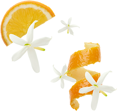 Orange Blossom - Orange Blossom Flower Png (400x400), Png Download