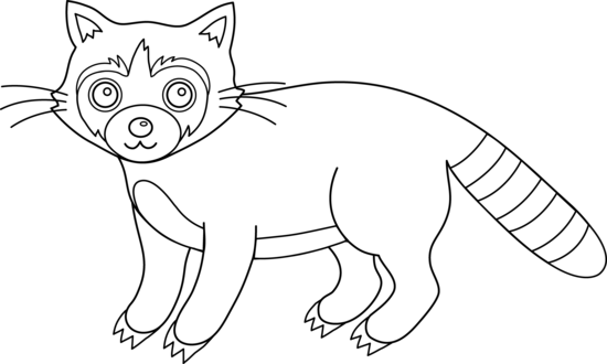 Colorable Raccoon Free Clip Art - Raccoon Clipart Black And White (550x330), Png Download