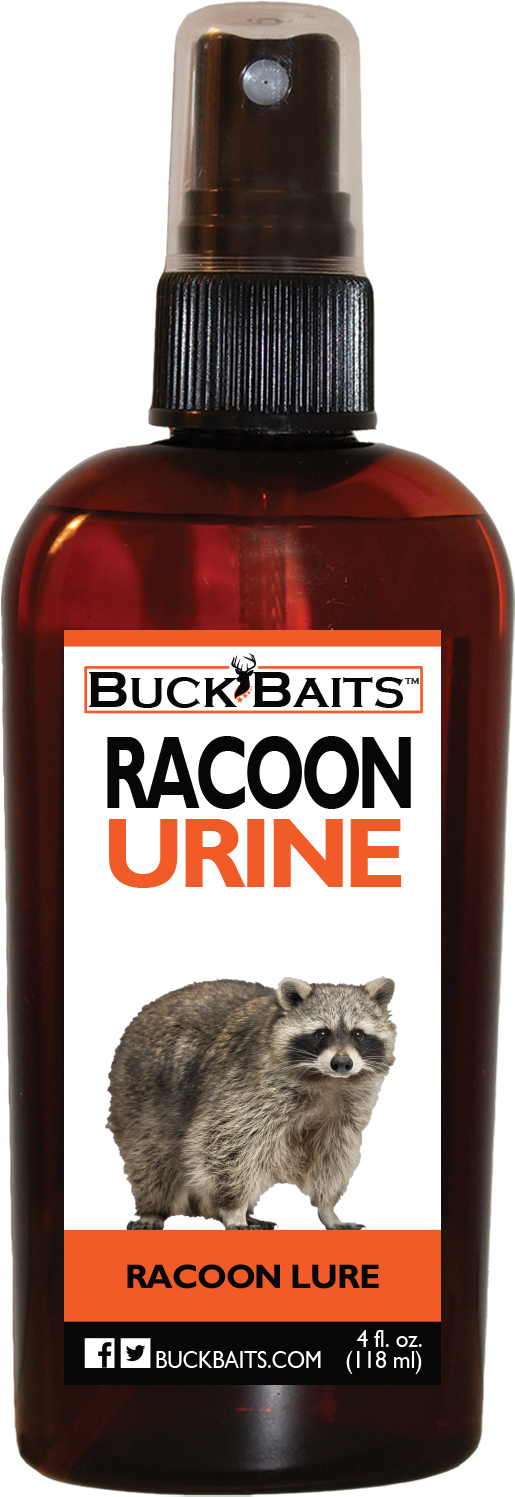 Racoon V=1529522326 - Buck Baits Dominate Bear Urine 4 Oz. (1500x1500), Png Download
