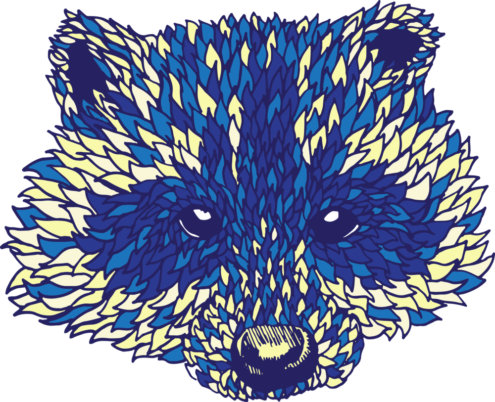 Racoon (1000x813), Png Download