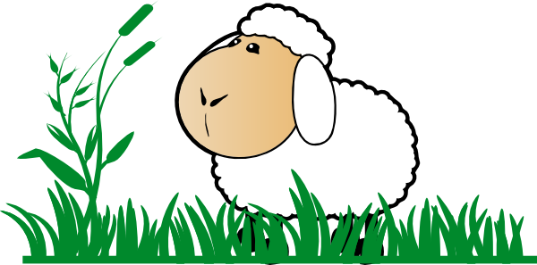 Grass Clipart Cartoon - Sheep On Grass Cartoon (600x297), Png Download