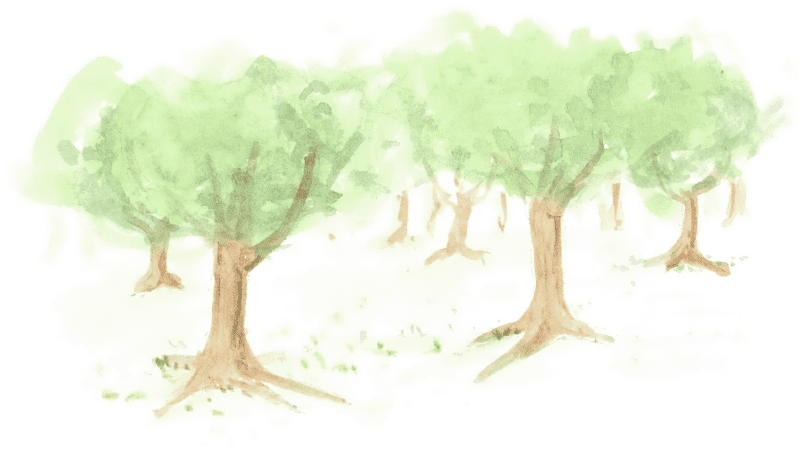 Bear Finds A Voice - Bear (800x461), Png Download