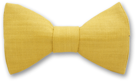 Download Hd Gold Bow Tie Png Transparent Png Image Nicepng Com