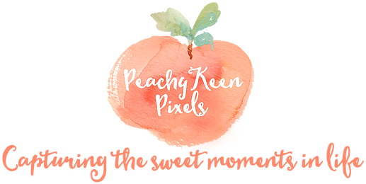 Image Result For Peachy Keen Logos - Photography (690x276), Png Download