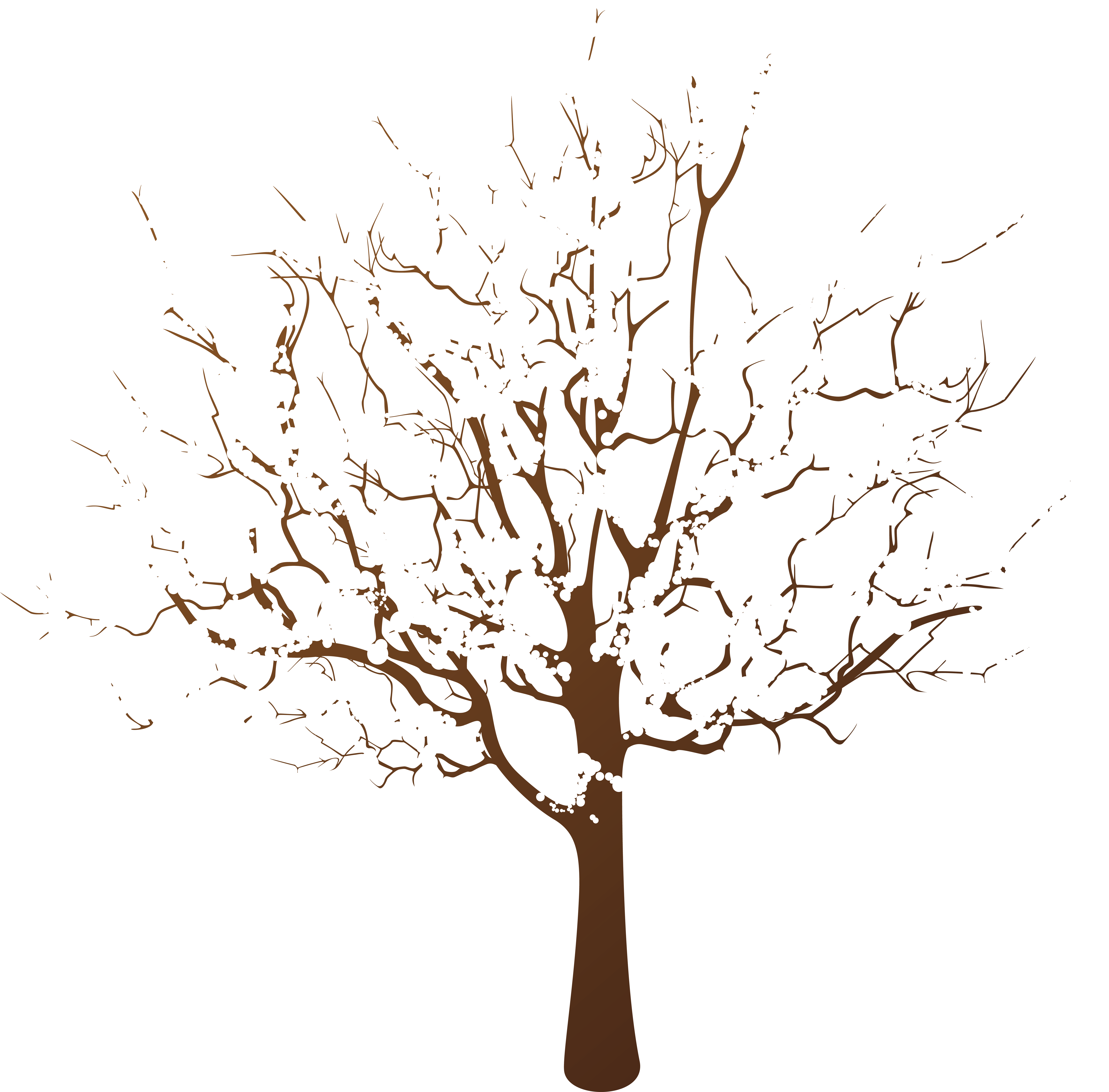 Winter Tree Transparent Clip Art (8000x7878), Png Download