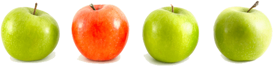 Apples Fruit Png Picture - Granny Smith (600x360), Png Download