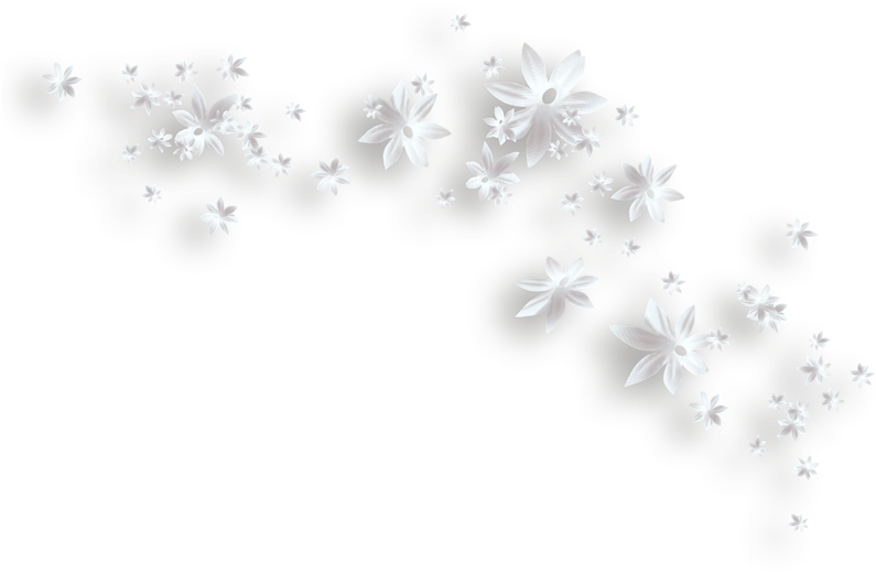 White Flowers Decorative Png Clipart - Clip Art (798x537), Png Download