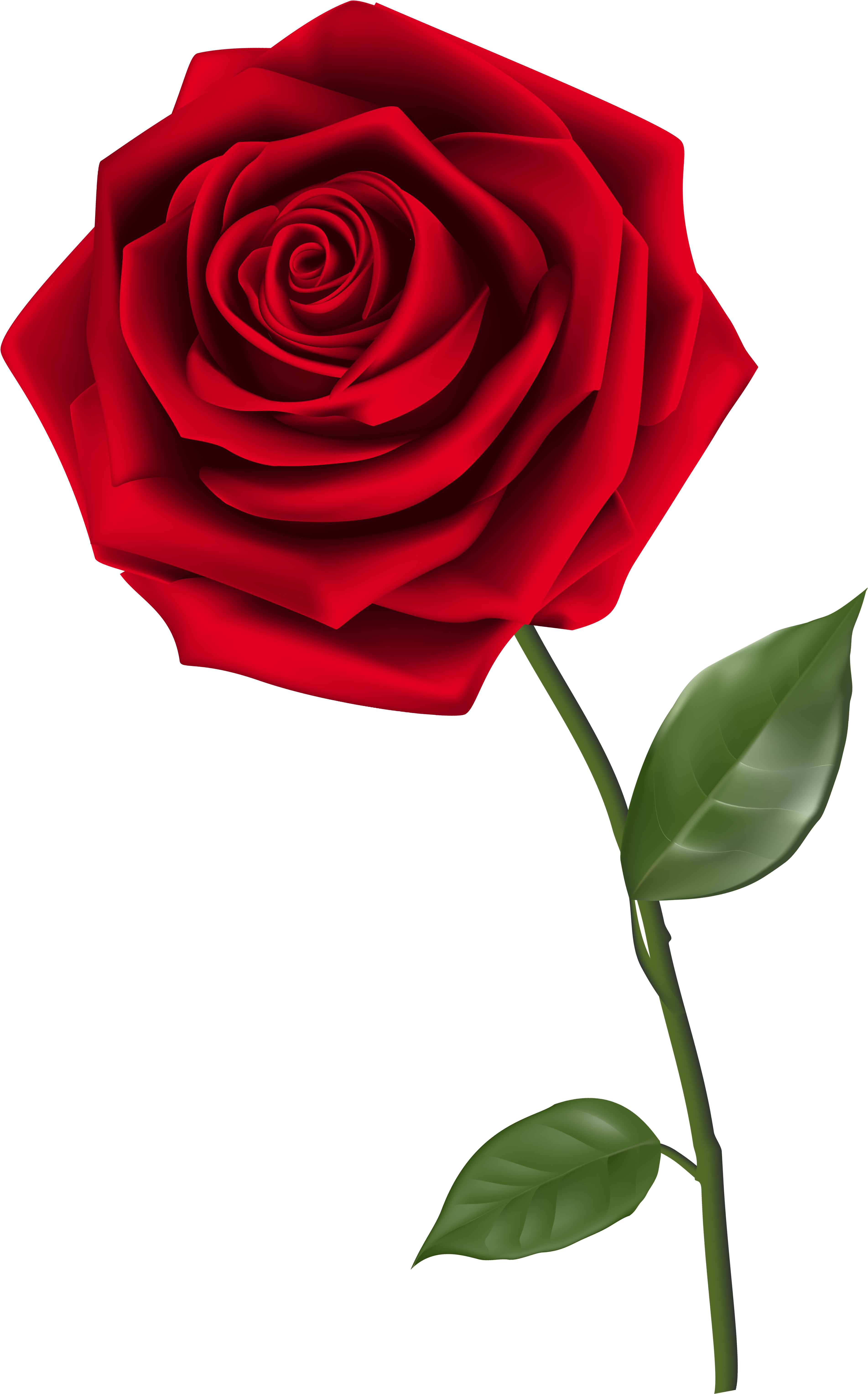 Rose Clip Art - Bible Verse Scripture Saturday Blessings (4026x6181), Png Download