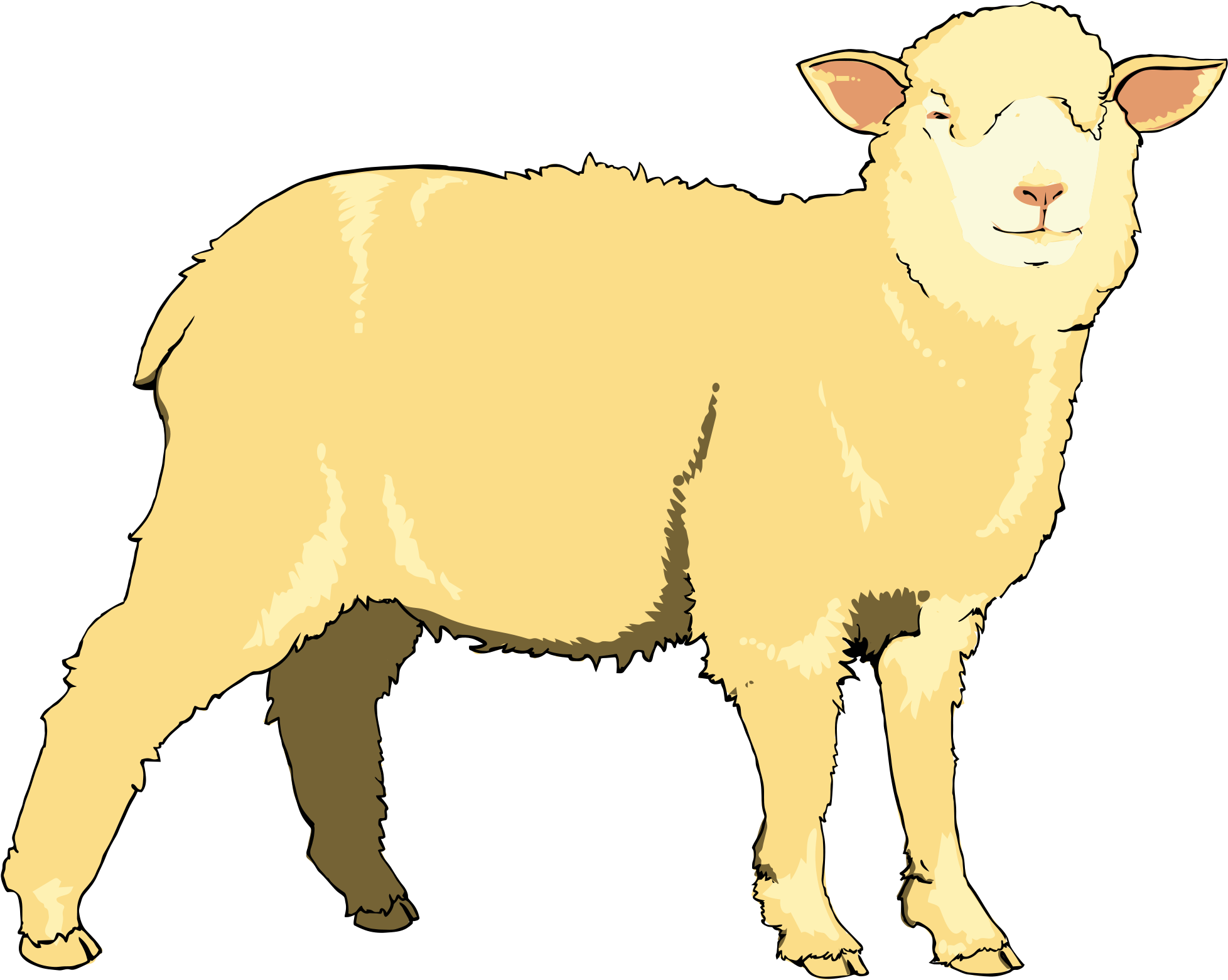 Lamb Clipart Goat - Sheep (2000x1623), Png Download