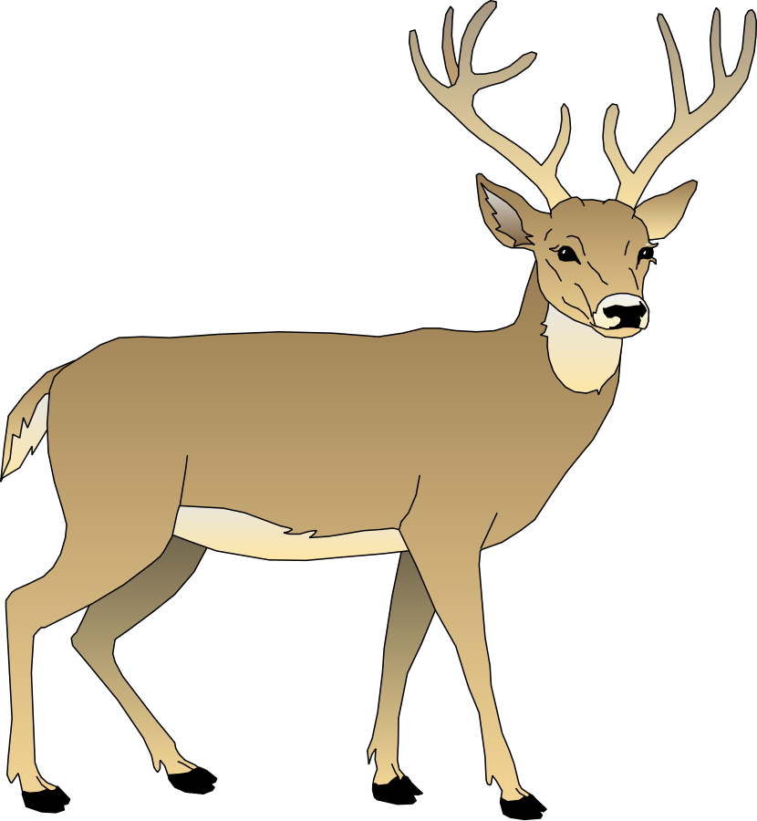 Male Deer Svg Clip Arts 552 X 599 Px (552x599), Png Download