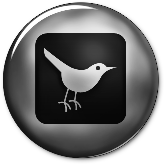102425 Ultra Glossy Silver Button Icon Social Media - Google Chrome Silver Icon (460x460), Png Download