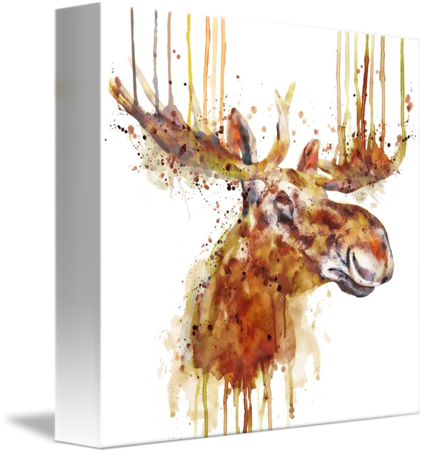 "moose Head" By Marian Voicu, Bucharest // - Watercolor Painting (606x650), Png Download