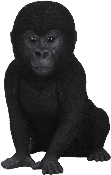 Free Png Gorilla Png Png Images Transparent - Animals Baby In Real Life (480x666), Png Download