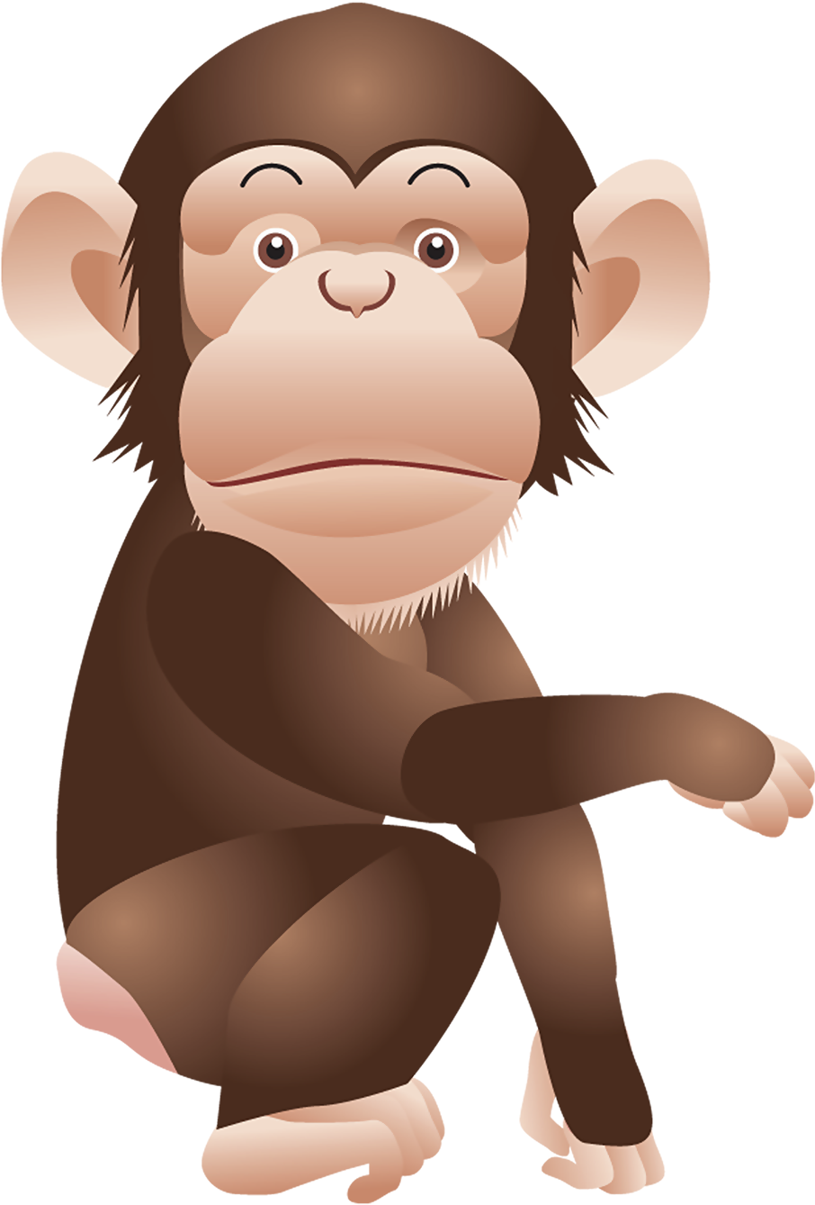 Download Hd Monkey Png Vectors Monkey Clipart Png Transparent Png Image Nicepng Com