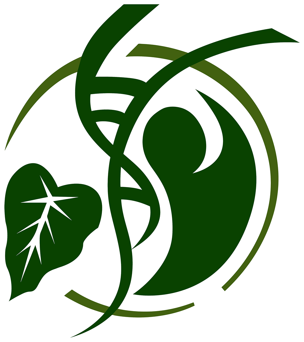 Clip Arts Related To - Health Logo No Background (1025x1152), Png Download