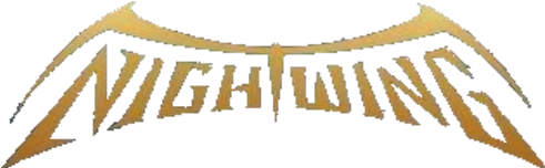 Nightwing Vol1 Logo - Nightwing Workout (500x255), Png Download