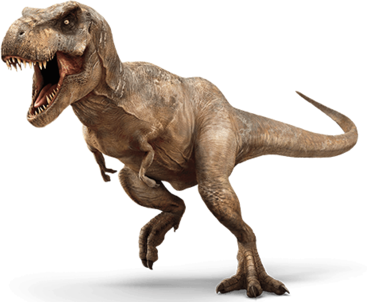 Jurassic Park Clipart Logo - Jurassic World Png (1280x1057), Png Download