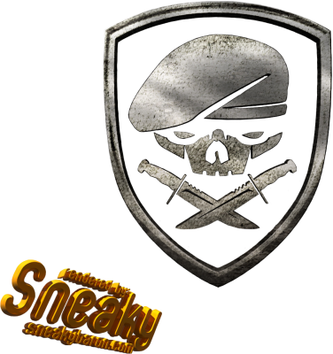 Click To View Full Size Image - Medal Of Honour Png (376x400), Png Download