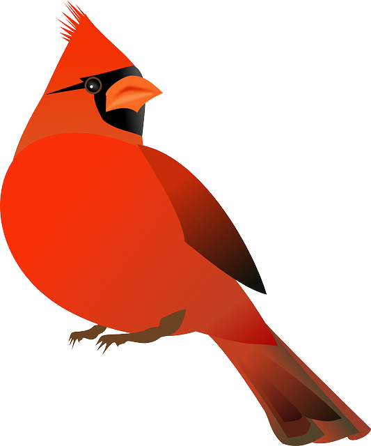 Free Cardinal Clipart - Cardinal Bird Clipart (498x597), Png Download