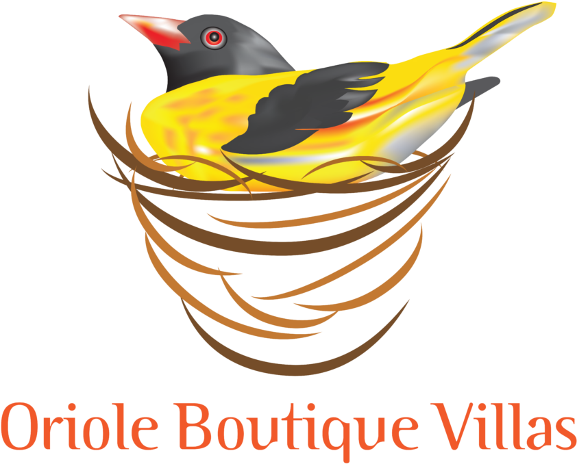 Oriole Boutique Villas Bentota, - Oriole Boutique Villas (1024x768), Png Download