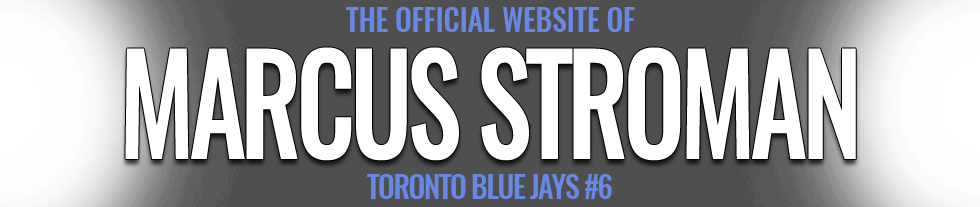 Licence Plate (980x207), Png Download