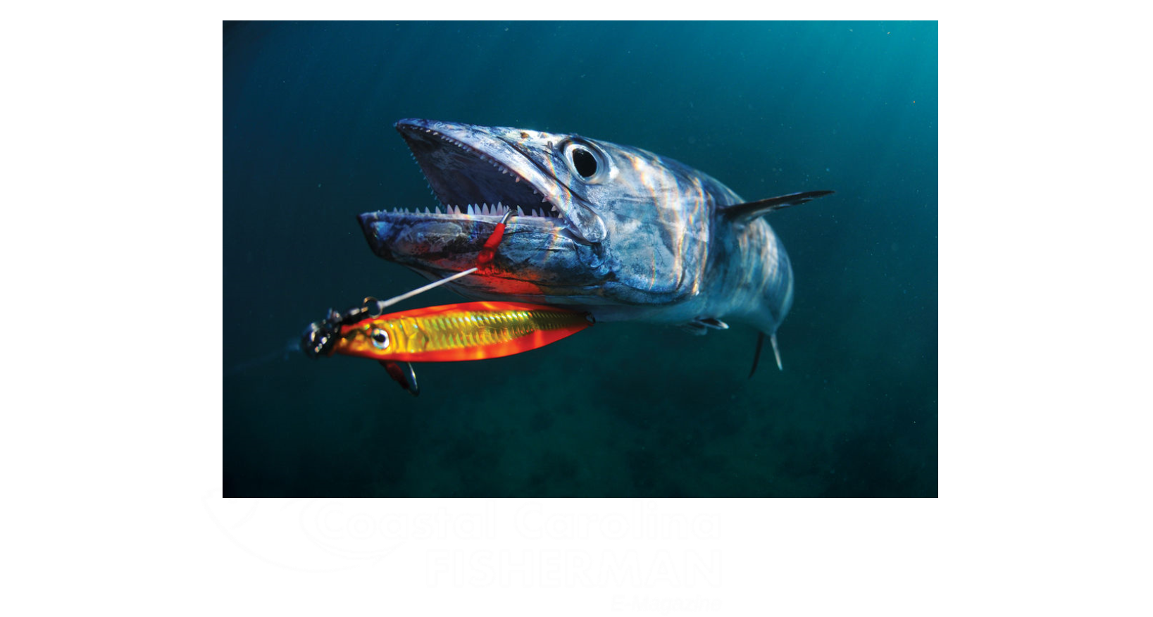 Slow Jigging Fishing Tips - Jigging Fishing (768x411), Png Download