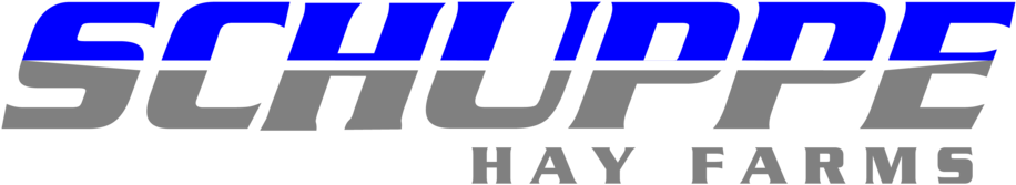 Schuppe-01 - Design (1000x773), Png Download