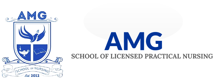 Amg School Of Lpn, Llc Header Logo - Driving School Business Card (700x259), Png Download