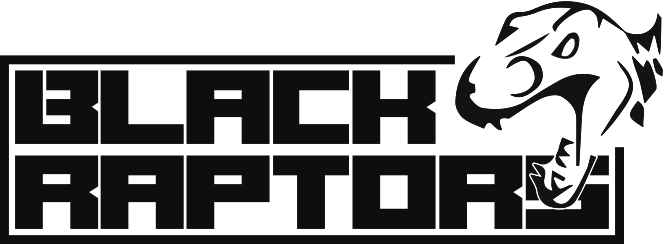 Black Raptors Logo - February 17 (664x245), Png Download