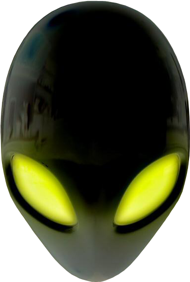 Cat (800x600), Png Download