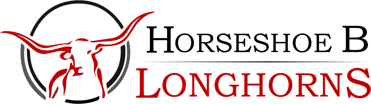 Texas Longhorn (1242x451), Png Download