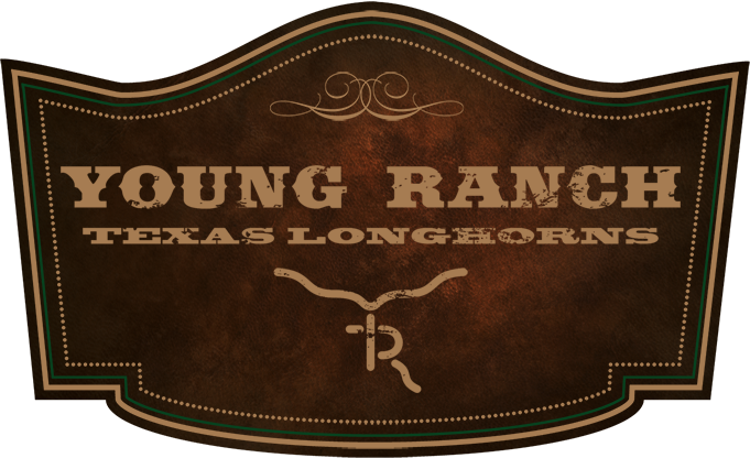 Young Ranch - Duran Duran All You Need (681x416), Png Download