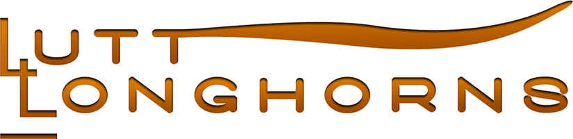 Lutt Longhorns Logo - Logo (825x200), Png Download