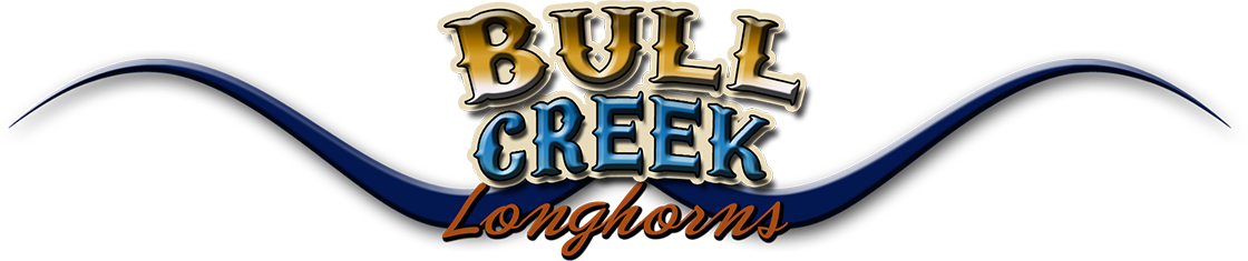 Bull Creek Longhorns Logo - Logo (1120x235), Png Download