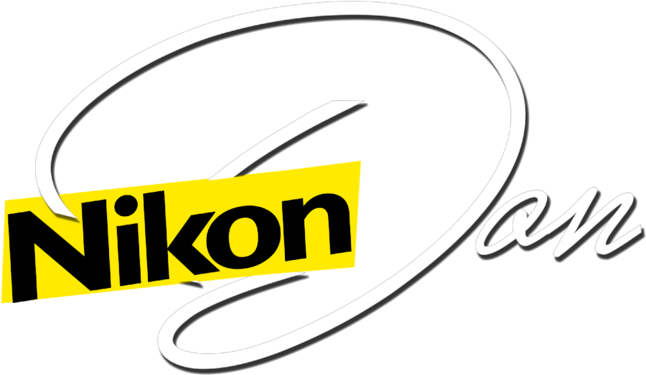 Nikondon Logo Png Wht - Portable Network Graphics (1000x1000), Png Download