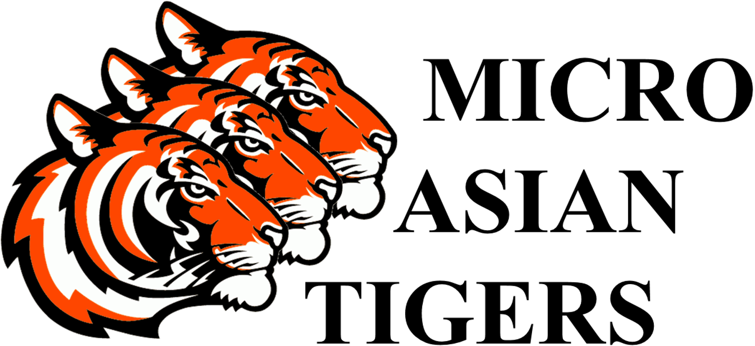 Micro Asian Tigers Logo - Cayo Costa State Park (1500x688), Png Download