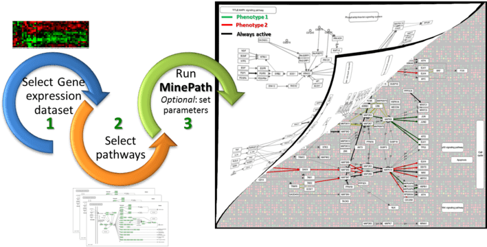 Bootstrap Image Preview - Pathway Analysis (711x396), Png Download