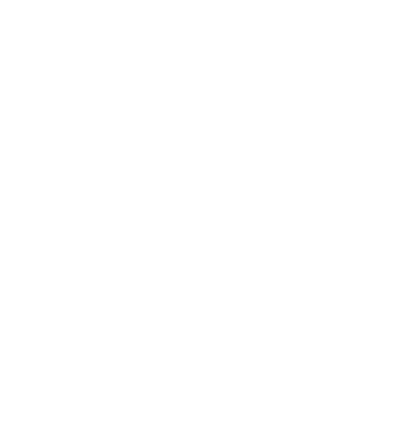 The Salt Lake City Stars, The Nba D League Team Owned - Salt Lake City Stars Logo (800x891), Png Download