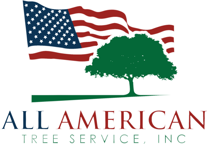 Logo-bg - American Flag And Tree Logo (800x557), Png Download