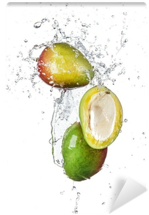 Fresh Mango In Water Splash On White Wall Mural • Pixers® - Water (400x400), Png Download