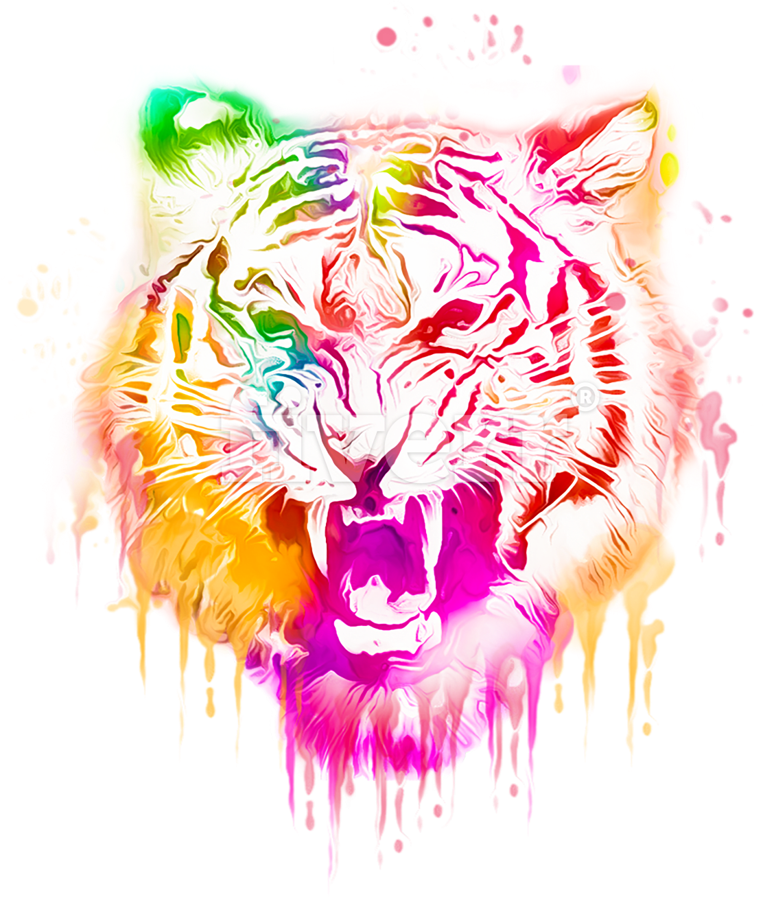 Tiger Head (1200x1372), Png Download