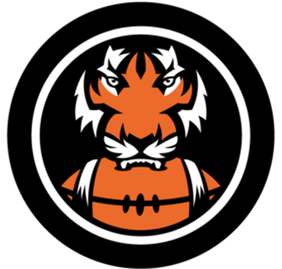 Bengals New Logo, To Pin On Pinterest, Pinsdaddy - Cincy Jungle (1000x800), Png Download