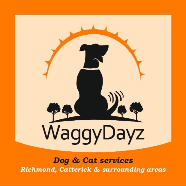 Home Services - Waggydayz (620x623), Png Download