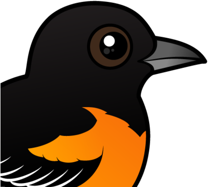 About The Baltimore Oriole - Baltimore (440x440), Png Download