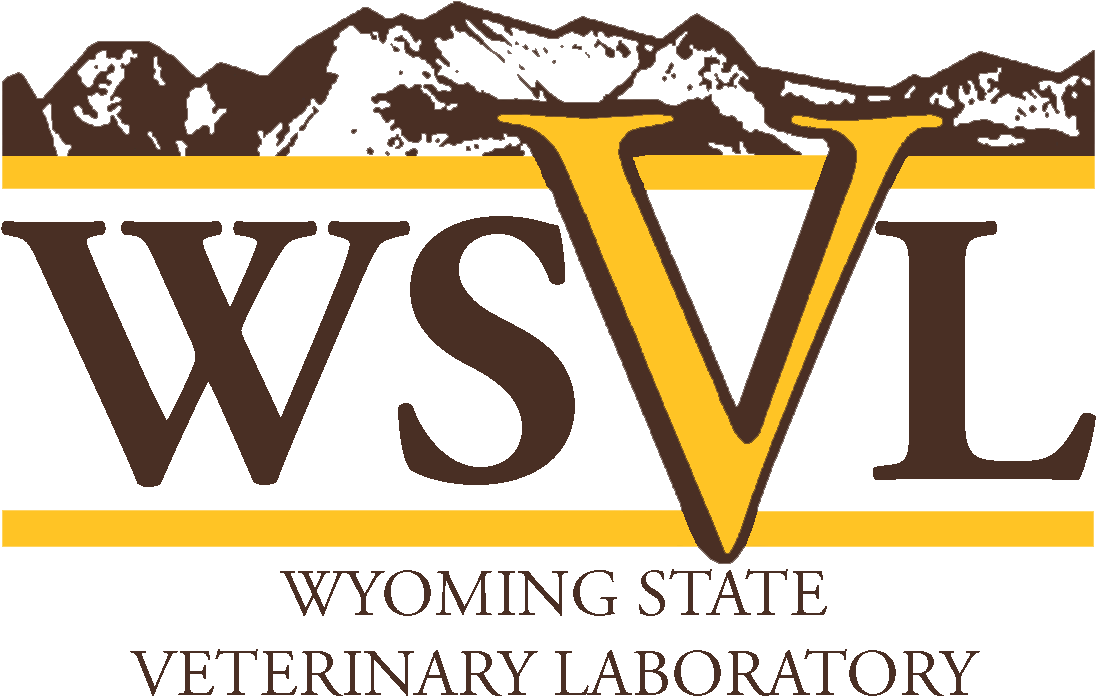 Wsvl Logo - Initials Pillow 18x18x4, White, Throw Pillows,100% (1111x800), Png Download