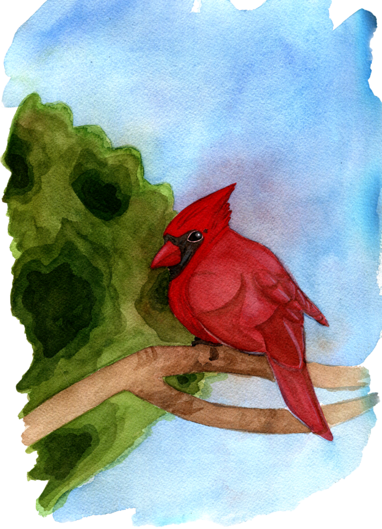 Cardinal By Jamschlosser On Deviantart Clipart Stock - Stock (759x1052), Png Download