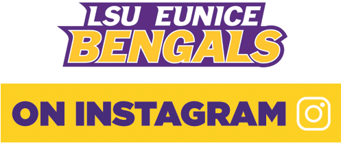 Graphics (768x300), Png Download