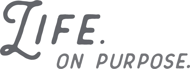 From Our Apartments To Our Amenities, Epoch Was Built - Clemson (786x285), Png Download